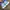 HOKA Sportswear Sneakers Pria blue photo 3