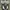 New Balance Casual Sneakers Pria white black gray photo 4
