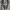 New Balance Casual Sneakers Pria white tan black photo 4