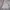 H&M Y2K Minimalist Crop Top Wanita White