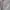 H&M Y2K Minimalist Crop top Wanita white photo 6