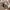 H&M Y2K Minimalist Crop top Wanita white photo 3