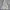 H&M Y2K Minimalist Crop top Wanita white photo 2