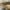 Y2K Casual Mini skirt Wanita tan khaki photo 5