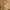 Y2K Casual Mini skirt Wanita tan khaki photo 6