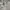 H&M Y2K Minimalist Bodycon dress Wanita cream photo 3