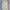 H&M Y2K Minimalist Bodycon dress Wanita cream photo 2