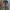 Carhartt Vintage Streetwear Bomber jacket Pria brown photo 4
