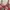 Y2K Swimwear Wanita white green red brown photo 3