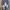 New Balance Casual Sneakers Pria white navy photo 4