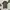 Streetwear Casual Formal Shirt Pria White Black