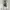 Semantic Design Y2K Avant Garde T-shirt Pria white photo 1