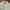Sky Bomber Vintage Streetwear Bomber jacket Pria white gray photo 4