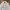 Sky Bomber Vintage Streetwear Bomber jacket Pria white gray photo 3