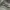 Le Coq Sportif Sportswear Suit Pria white photo 4