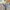 GAP Casual Casual pants Pria tan photo 2