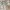 GAP Casual Casual pants Pria tan photo 4