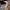The North Face Streetwear Sportswear Puffer jacket Pria brown photo 4