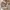 Polo Ralph Lauren Luxury Sweater Pria tan brown cream photo 3