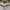 Polo Ralph Lauren Luxury Sweater Pria tan brown cream photo 6