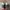Adidas Indie Casual Sneakers Pria white green photo 4