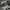Adidas Indie Casual Sneakers Pria white green photo 2