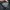 Under Armour Sportswear Track jacket Pria black photo 2