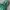 Burton Y2K Gorpcore Windbreaker Pria green photo 8