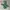 Burton Y2K Gorpcore Windbreaker Pria green photo 1