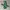 Burton Y2K Gorpcore Windbreaker Pria Green