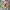Burton Y2K Gorpcore Windbreaker Pria green photo 5
