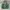 Burton Y2K Gorpcore Windbreaker Pria green photo 4