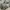 Burton Y2K Gorpcore Windbreaker Pria green photo 6