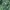 Burton Y2K Gorpcore Windbreaker Pria green photo 7