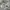 & Other Stories Cosplay Minimalist Hoody Pria multicolor gray photo 4