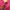 Pancoat Streetwear Sweater Wanita pink photo 7