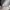 Vintage Sportswear Hat Pria white photo 5