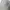 Vintage Sportswear Hat Pria white photo 2
