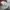 Vintage Indie Hat Pria white photo 5