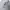 Vintage Indie Hat Pria white photo 2