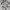 Abercrombie & Fitch Vintage Casual Sweater Pria white photo 4