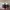 Adidas Indie Casual Sneakers Pria burgundy white photo 4