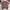 Stussy Streetwear T-shirt Pria multicolor photo 8
