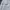 Casual Track jacket Pria blue photo 4