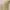 Vintage Streetwear Vest Wanita cream photo 2