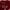 Jeep Casual T-shirt Pria burgundy photo 2