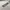 Casual Hoody Pria white photo 4