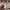 Gianni Valentino Casual Polo shirt Pria cream photo 5