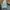 Levi's Vintage Streetwear Jeans Pria blue photo 6