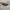 Armani	 Streetwear Y2K Sunglass Pria burgundy red photo 1